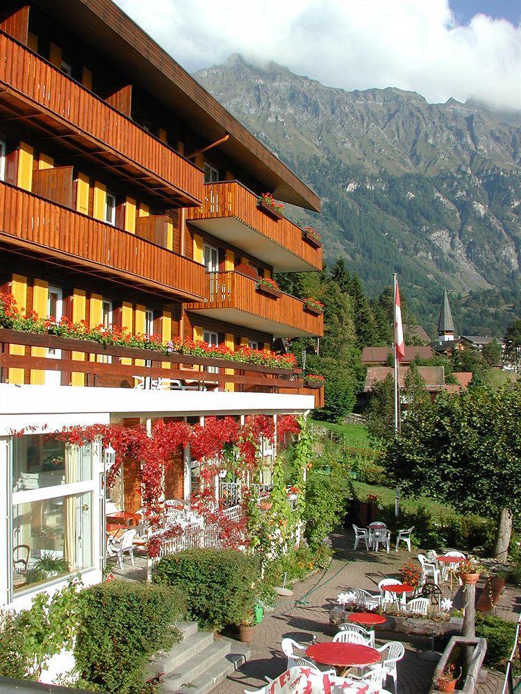 Minotel Bellevue Wengen Esterno foto