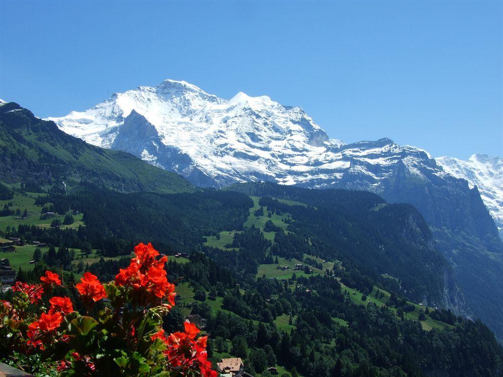 Minotel Bellevue Wengen Esterno foto