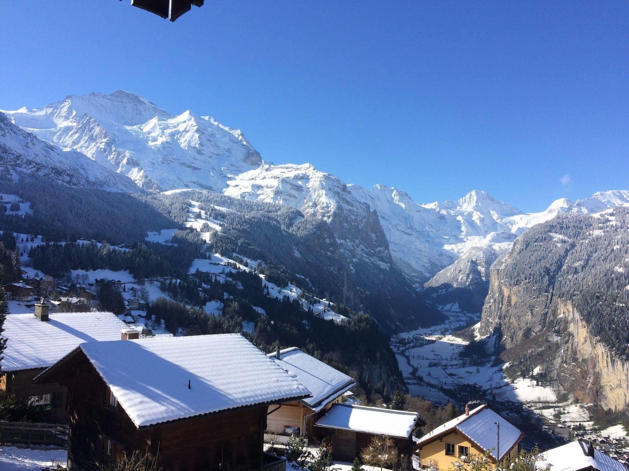 Minotel Bellevue Wengen Esterno foto