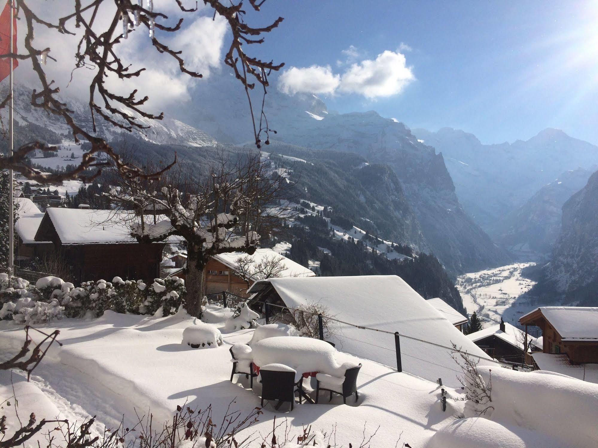 Minotel Bellevue Wengen Esterno foto